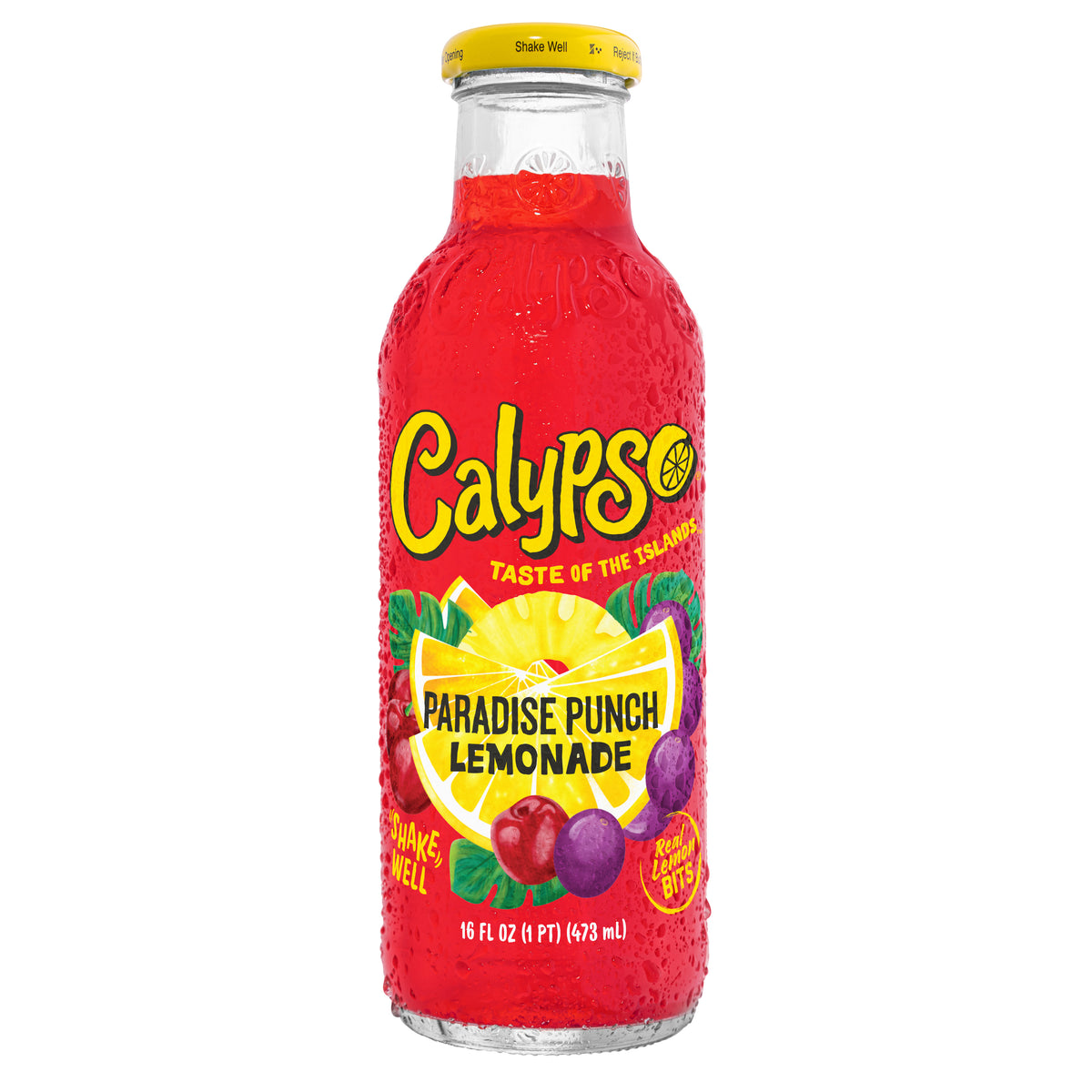 Calypso Paradise Punch 473ml